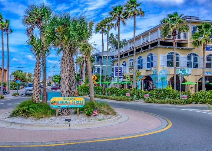Anna Maria Island Beach Palms 5B